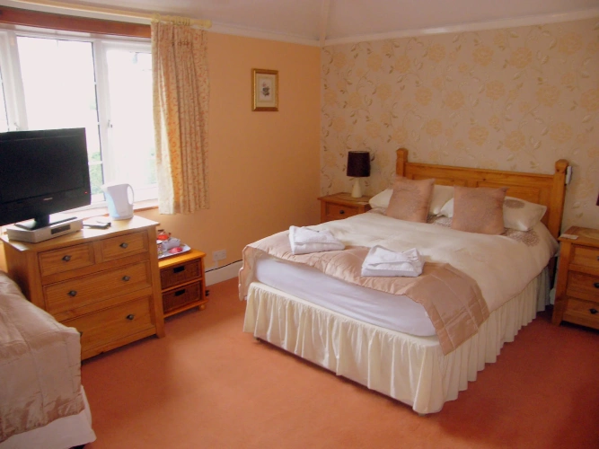 Standard Double room