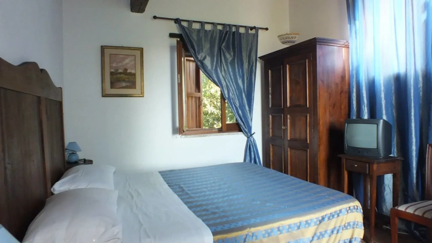 Standard Double room with garden view