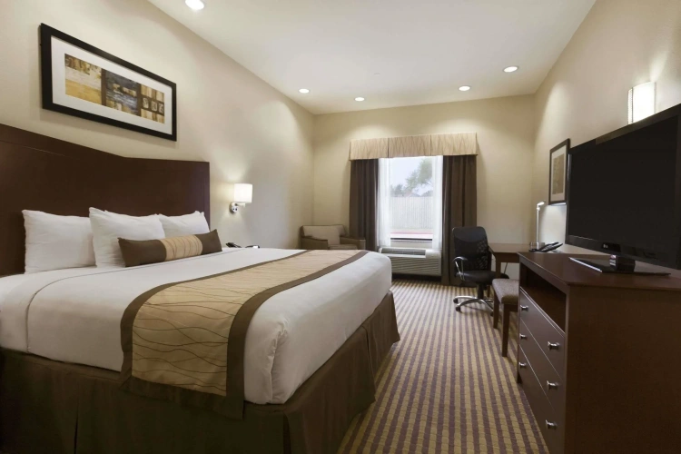 Standard Double room