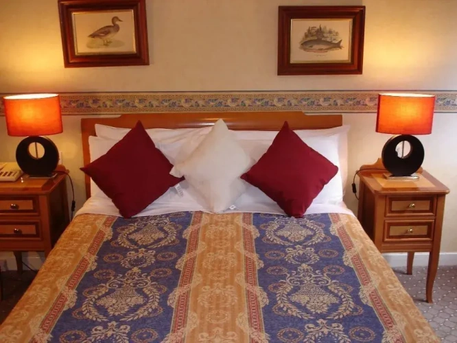 Executive Single room