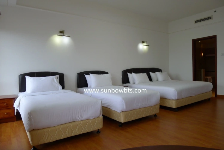 Family Suite with city view