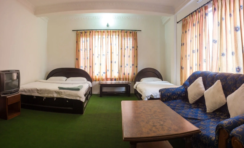 Deluxe Single room with mountain view