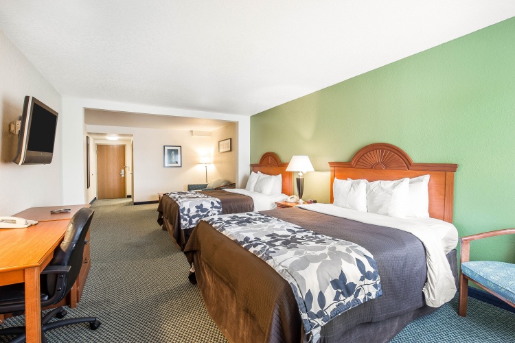 Standard Quadruple room