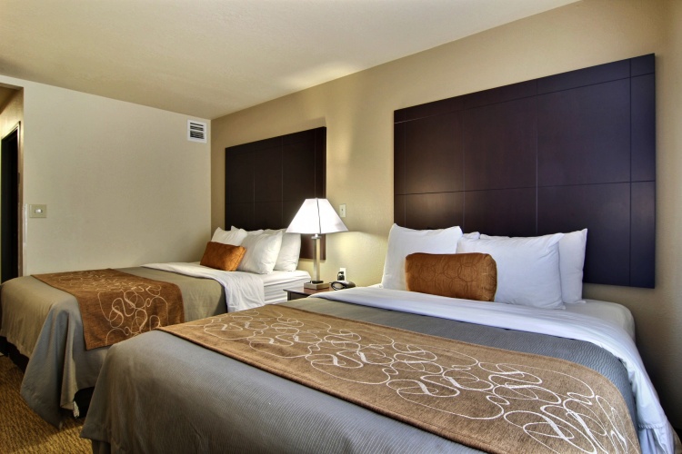 Quadruple Suite