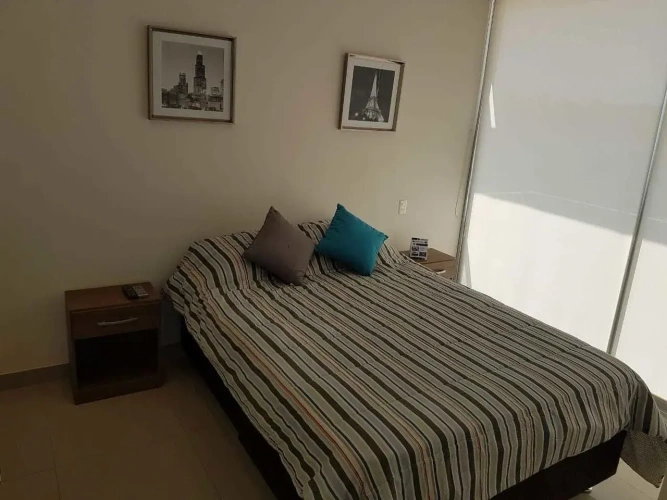 1 Bedroom Executive Apartment