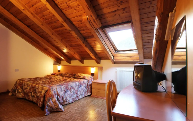 Standard Double room with mountain view