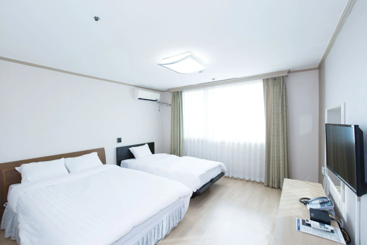 1 Bedroom Standard room