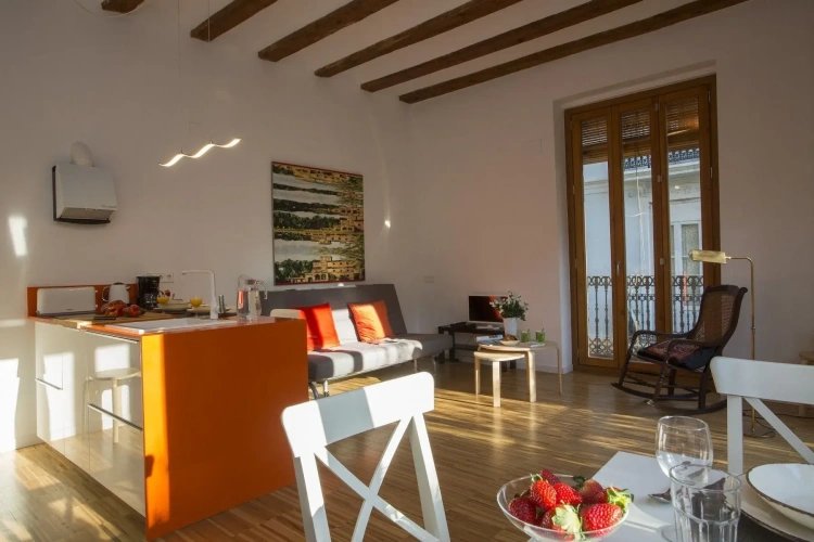 1 Bedroom Apartment