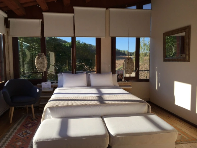 Standard Double room with garden view