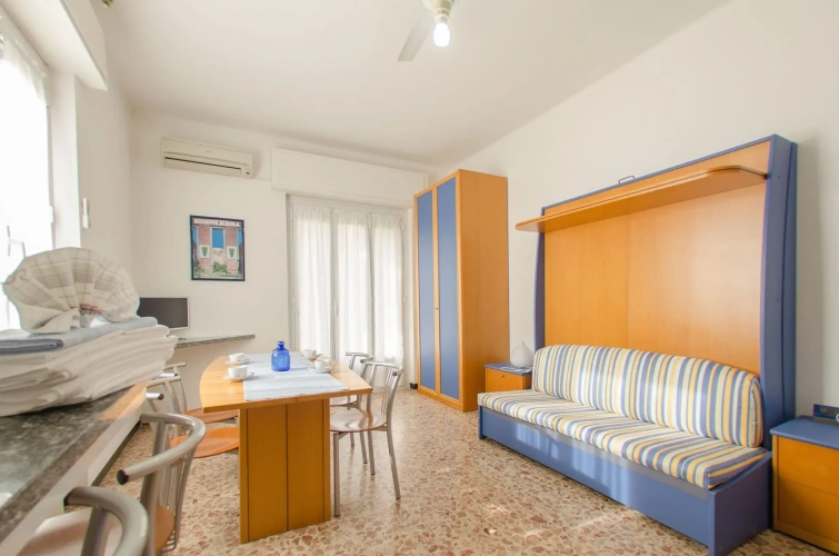 1 Bedroom Standard Apartment with balcony
