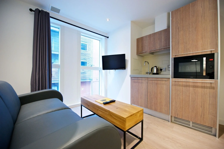 1 Bedroom Standard Apartment