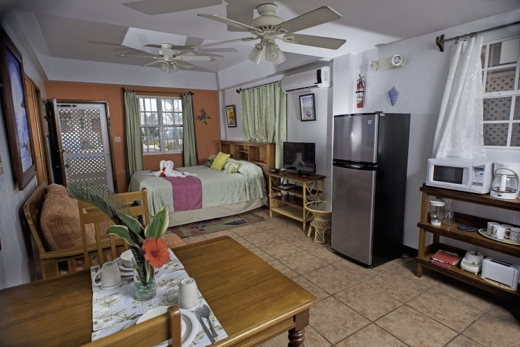 Double Studio with pool view