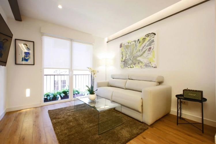 1 Bedroom Apartment