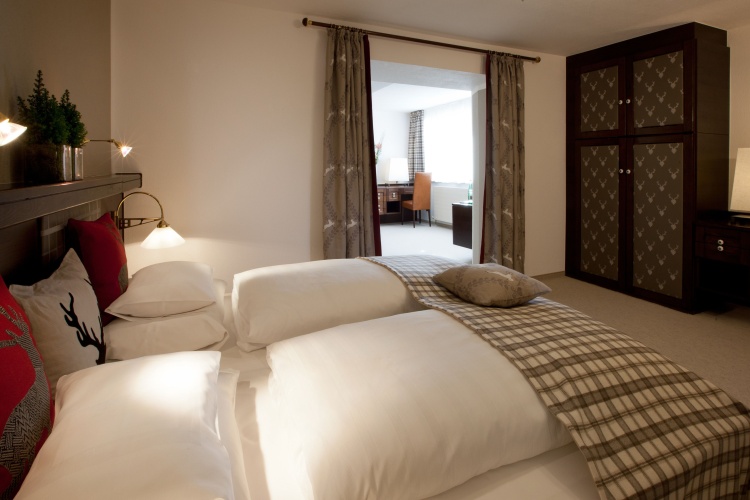 Deluxe Double room with mountain view