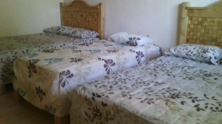 1 Bedroom Standard room with garden view