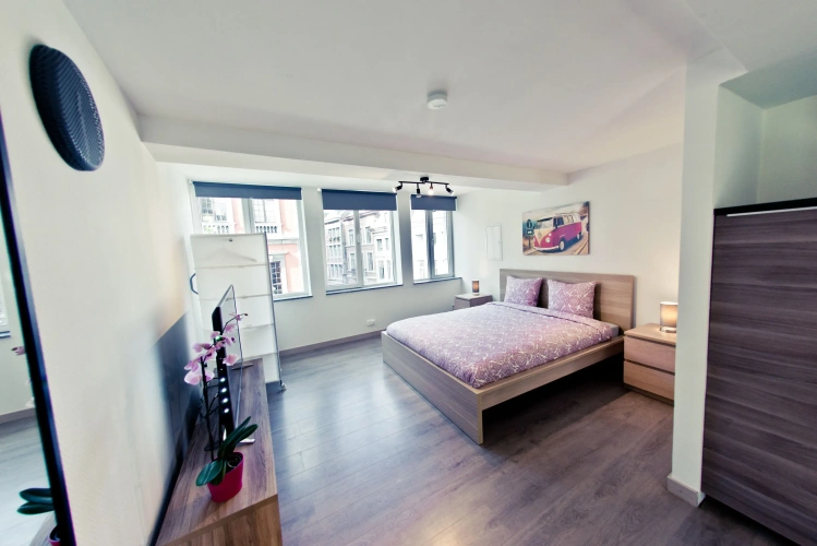 1 Bedroom Classic Apartment with city view