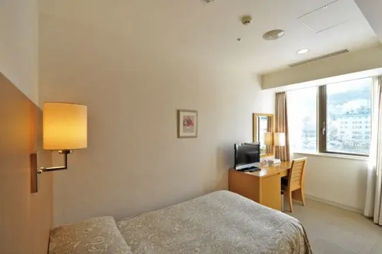 Standard Single room with mountain view