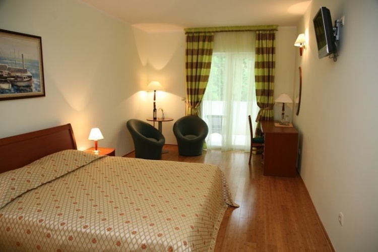 Standard Double room with balcony and with sea view