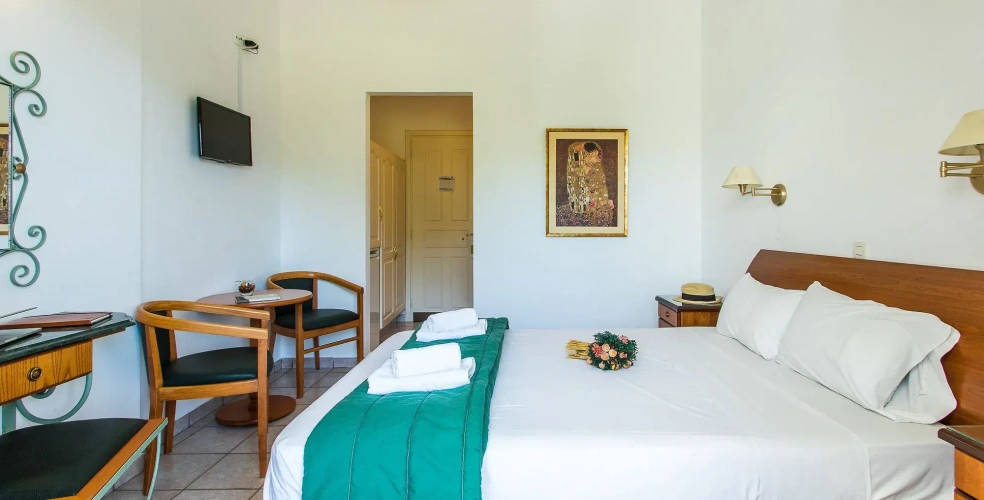 Standard Double room with mountain view