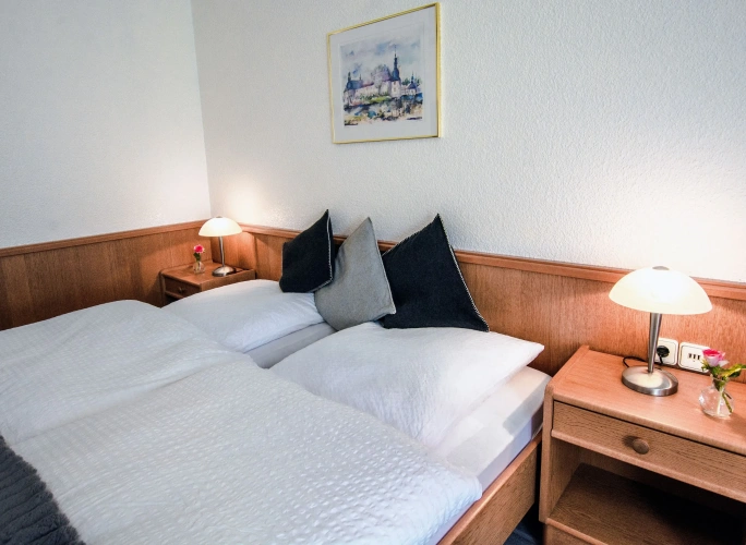 Standard Double room