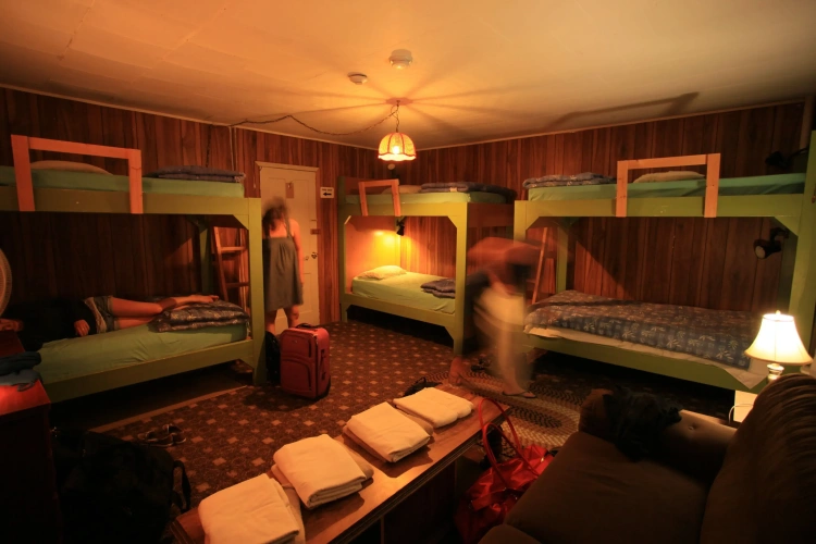 Bed in Dorm