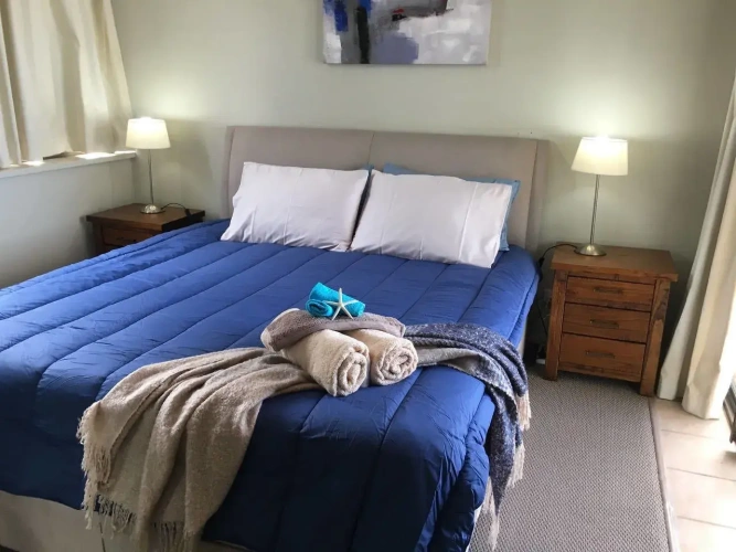 1 Bedroom Standard Apartment