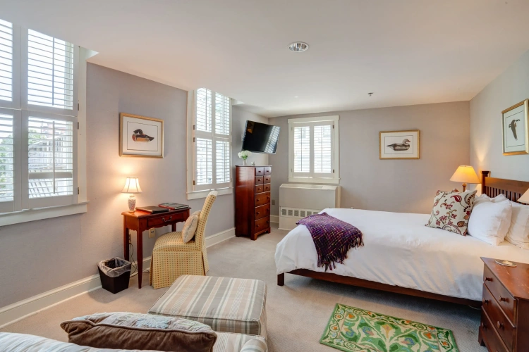 Standard Double room with river view