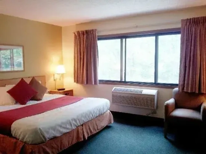 2 Bedrooms Single Suite