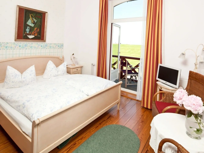 Standard Double room with balcony and with sea view