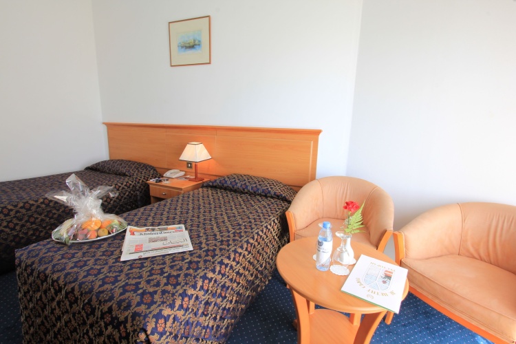 Standard Double room with balcony and with sea view