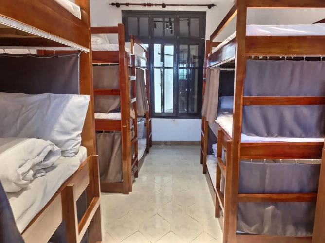 Bed in Dorm