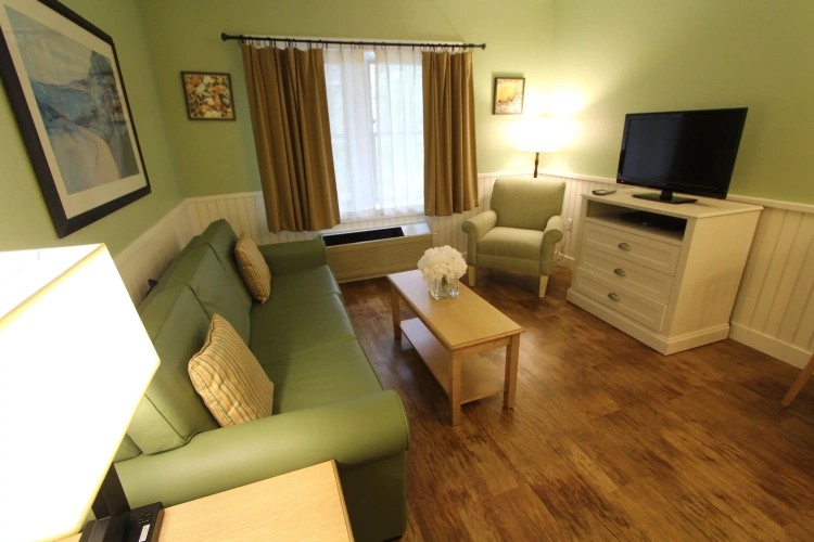 1 Bedroom Suite
