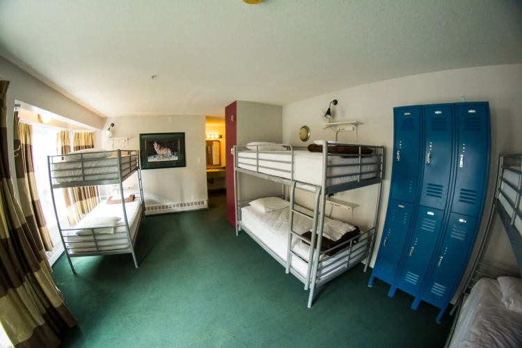 Bed in Dorm