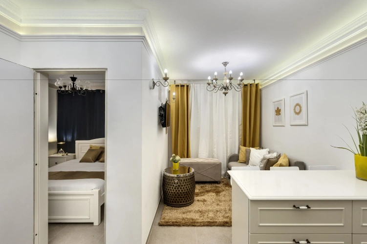 1 Bedroom Apartment