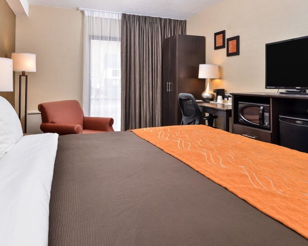 Standard Double Basement room