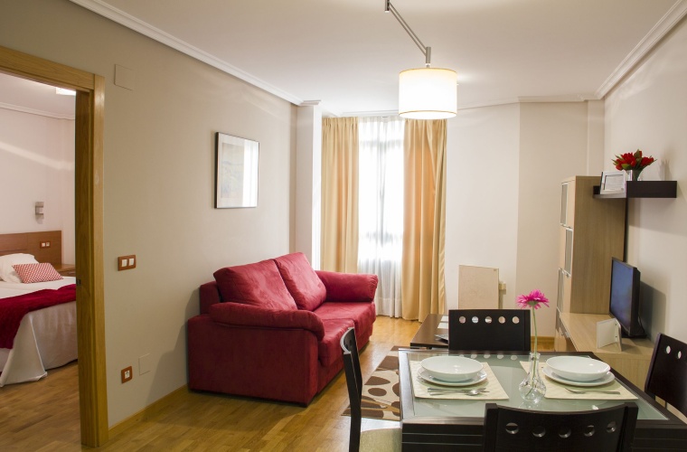 1 Bedroom Standard Apartment
