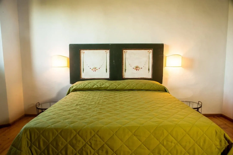 Standard Double room with land view