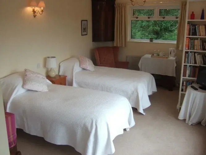 Superior Twin room