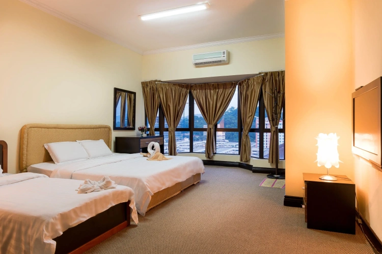 Deluxe Penthouse Suite
