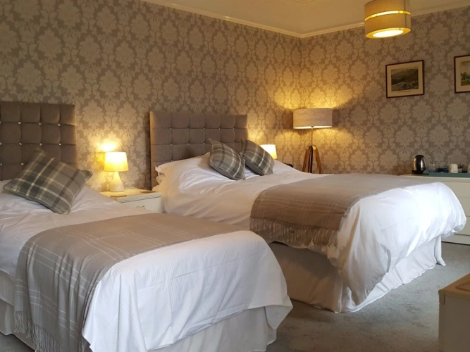 Superior Double room with garden view