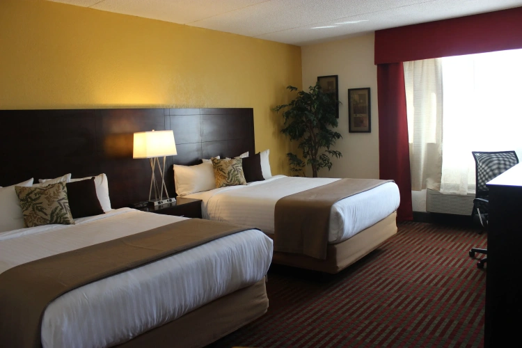 Quadruple Suite