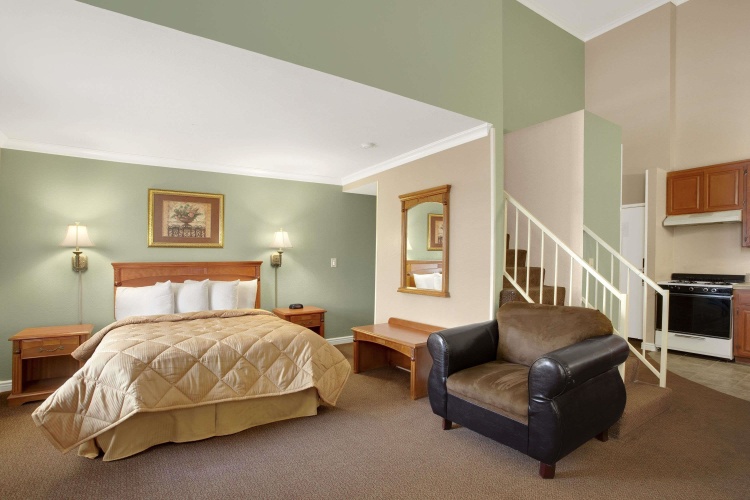 1 Bedroom Double Suite