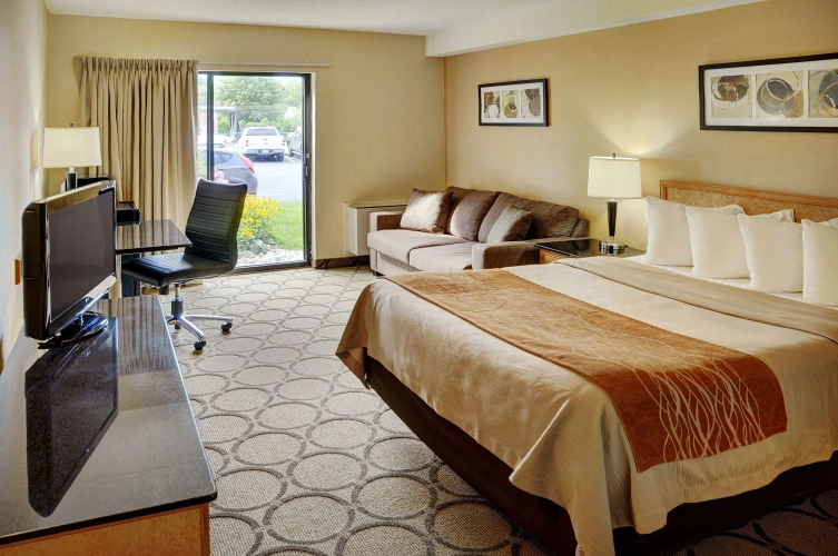 Standard Double Basement room