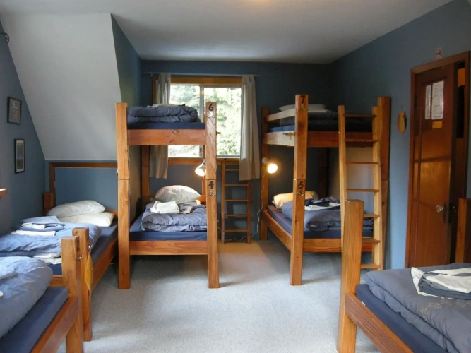 Bed in Dorm