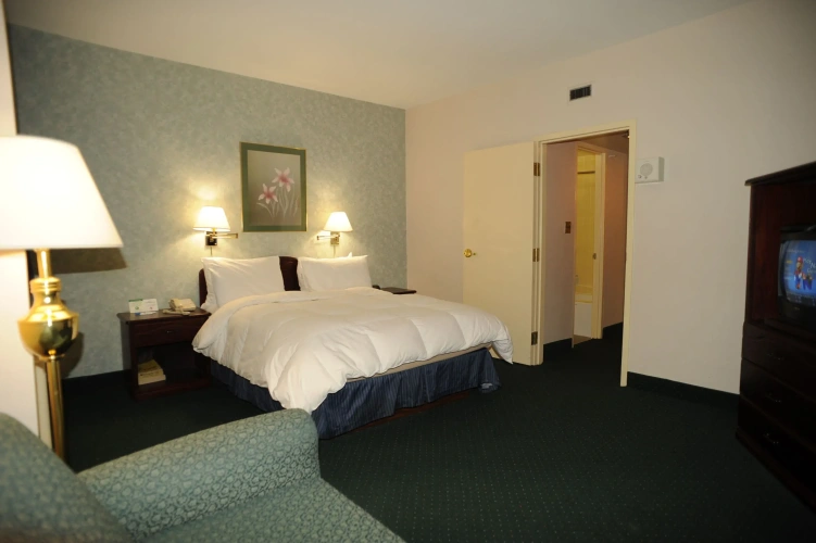 1 Bedroom Double Suite