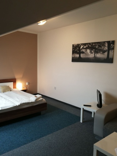 Standard Double Attic room