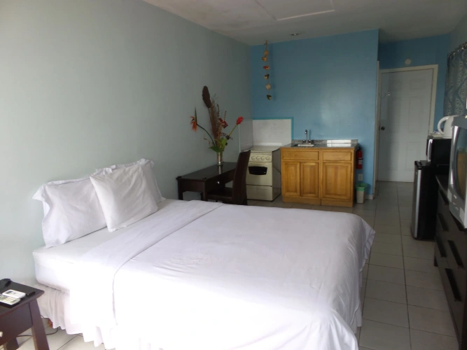Standard Double Basement room
