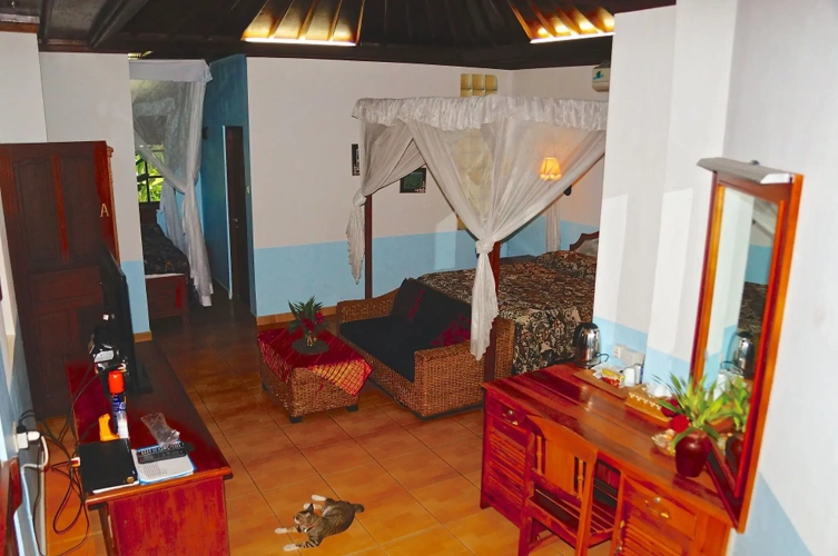 Deluxe Double room with view
