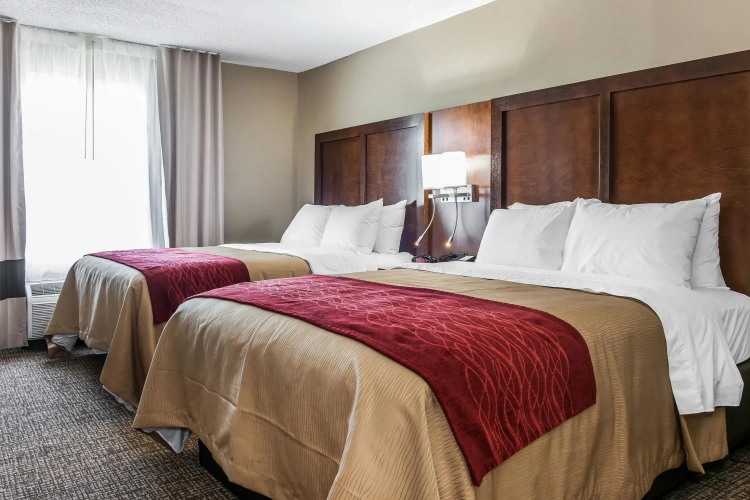 Quadruple Suite
