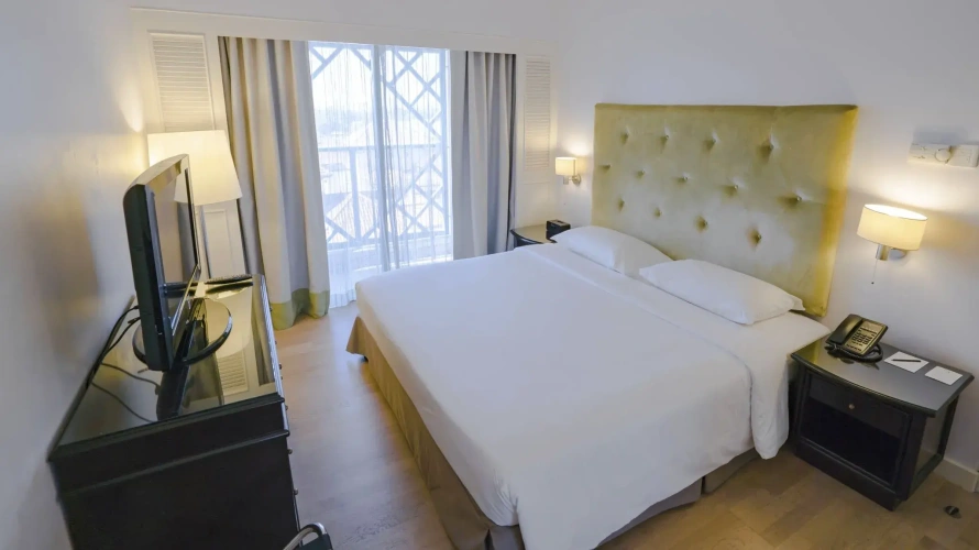 1 Bedroom Suite